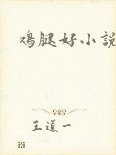 鸡腿好小说网