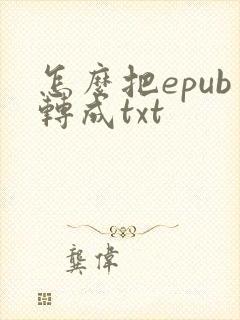 怎么把epub转成txt