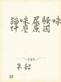 猫咪尿骚味重是什么原因