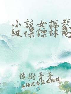 小说女总裁的神级保镖林飞