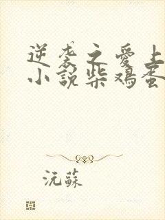 逆袭之爱上情敌小说柴鸡蛋免费阅读