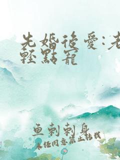 先婚后爱:老公轻点宠