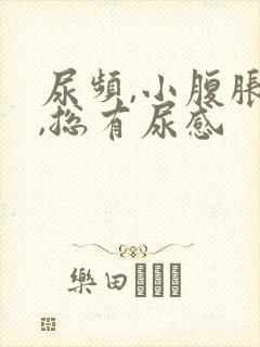 尿频,小腹胀痛,总有尿感