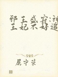 邪王盛宠:神医王妃不好追