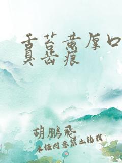 舌苔黄厚口苦口臭齿痕