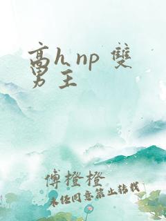高h np 双男主