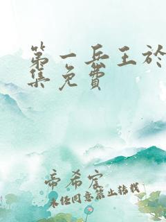 第一兵王于枫全集免费