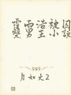 霍雨浩被囚禁禁双男主小说叫什么