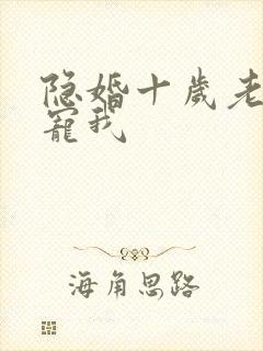 隐婚十岁老公超宠我
