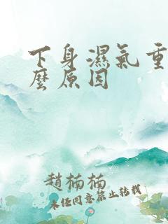 下身湿气重是什么原因