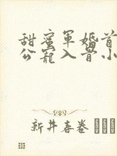 甜蜜军婚首长老公宠入骨小说