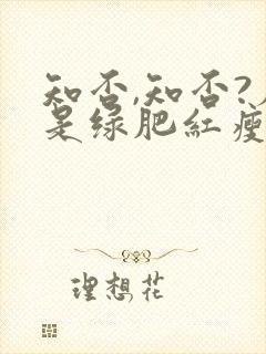 知否,知否?应是绿肥红瘦原著