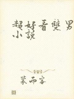 超好看双男主的小说