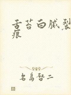 舌苔白腻裂纹齿痕