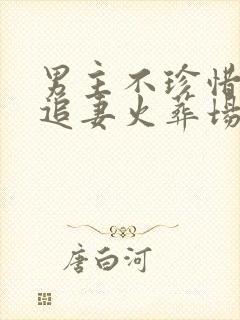 男主不珍惜女主追妻火葬场