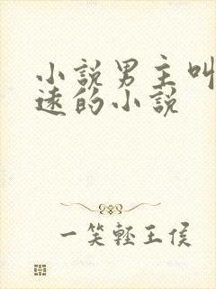 小说男主叫林致远的小说