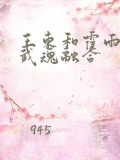 王东和霍雨浩的武魂融合