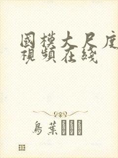 国模大尺度私拍视频在线