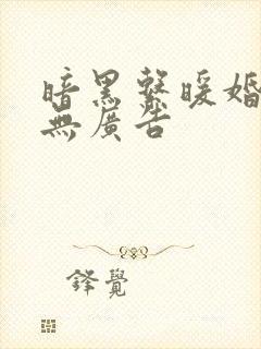 暗黑系暖婚小说无广告