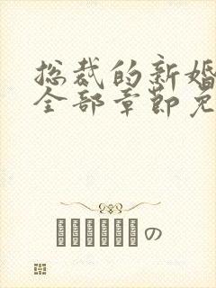 总裁的新婚罪妻全部章节免费