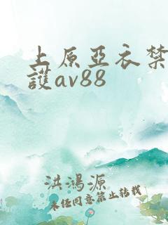 上原亚衣禁断介护av88
