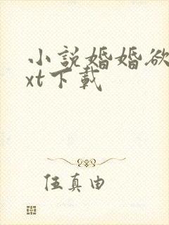 小说婚婚欲宠txt下载