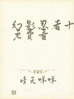 幻影忍者十七季免费看