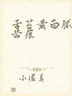 舌苔黄白腻厚有齿痕