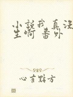 小说我真没想重生啊 番外