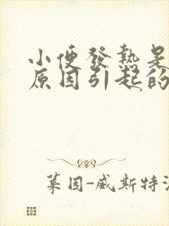 小便发热是什么原因引起的