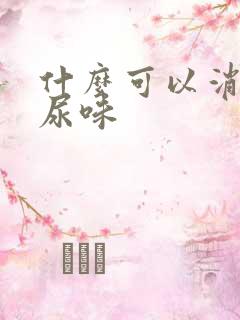 什么可以消除狗尿味