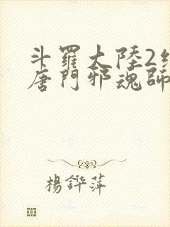 斗罗大陆2绝世唐门邪魂师