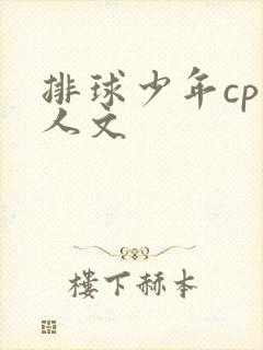 排球少年cp同人文