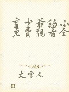 盲少爷的小女仆免费观看全集