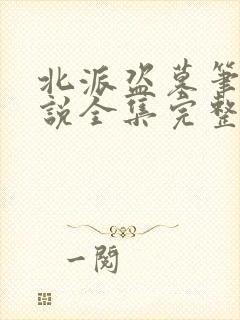 北派盗墓笔记小说全集完整版txt