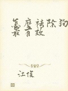 怎么祛除狗尿味最有效