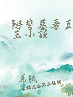 掰弯恶毒直男男主小说