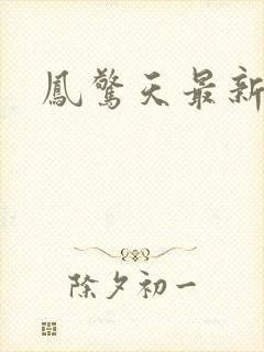 凤惊天最新章节