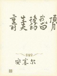 重生后我顶替了前夫的白月光