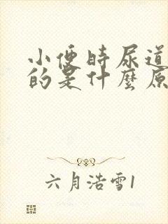 小便时尿道痒痒的是什么原因