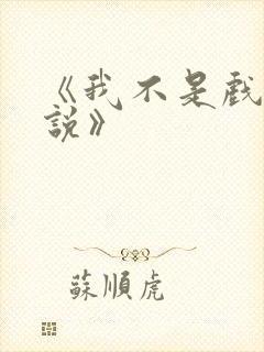 《我不是戏神小说》