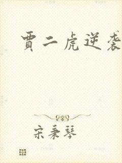 贾二虎逆袭人生