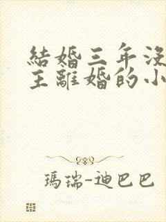 结婚三年没碰女主离婚的小说