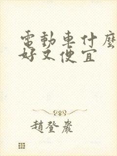 电动车什么牌子好又便宜