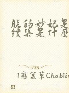 朕的妙妃是暴君续集是什么