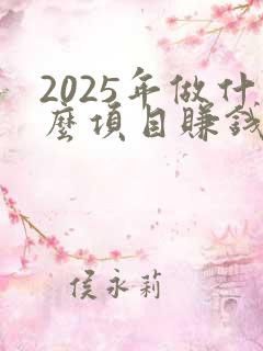 2025年做什么项目赚钱
