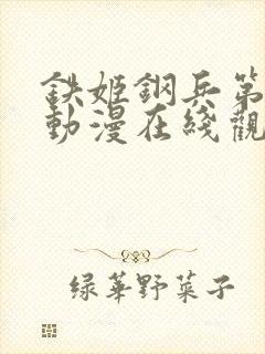 铁姬钢兵第三季动漫在线观看全集