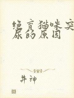 绝育猫咪突然乱尿的原因