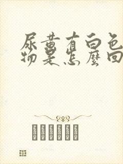 尿黄有白色沉淀物是怎么回事