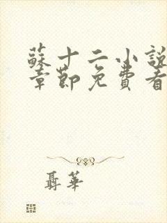 苏十二小说最新章节免费看